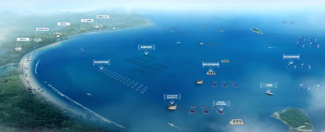 產值超百億元！一條魚“游”出一條產業鏈，“百箱計劃”掀起現代化漁業養殖變革