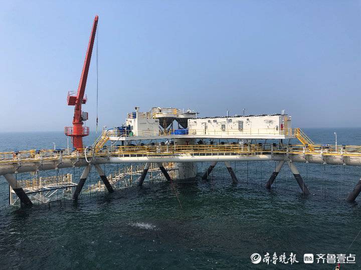 挺進深海，唱響“經海”牧歌！煙臺開啟向海圖強新征程