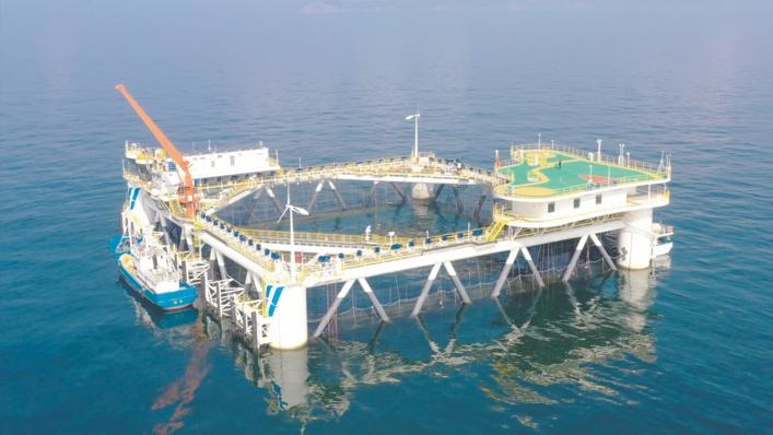 經略海洋|煙臺海洋牧場“百箱計劃”助力鄉村振興，帶動傳統漁業轉型升級