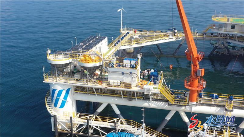 亞洲之最“經(jīng)海系列”網(wǎng)箱一網(wǎng)60萬尾只待冬捕豐收在望