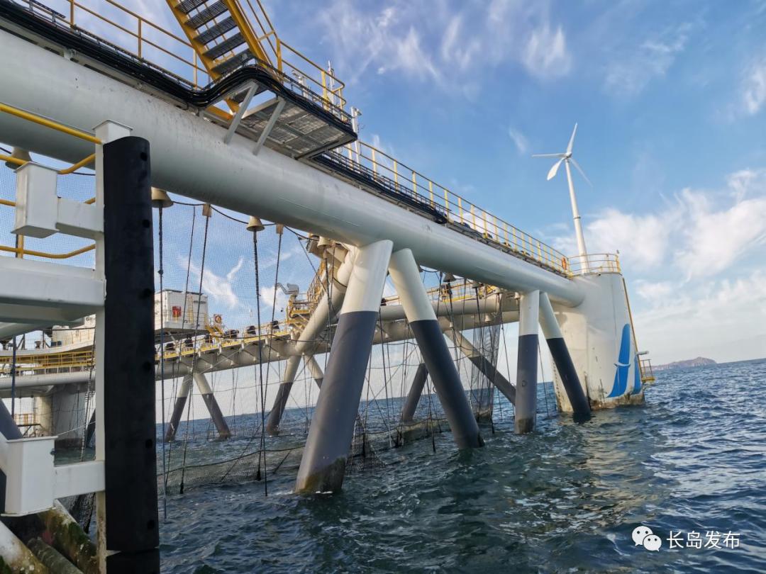 記者見聞：金秋海上豐收曲經海1號探“魚情”