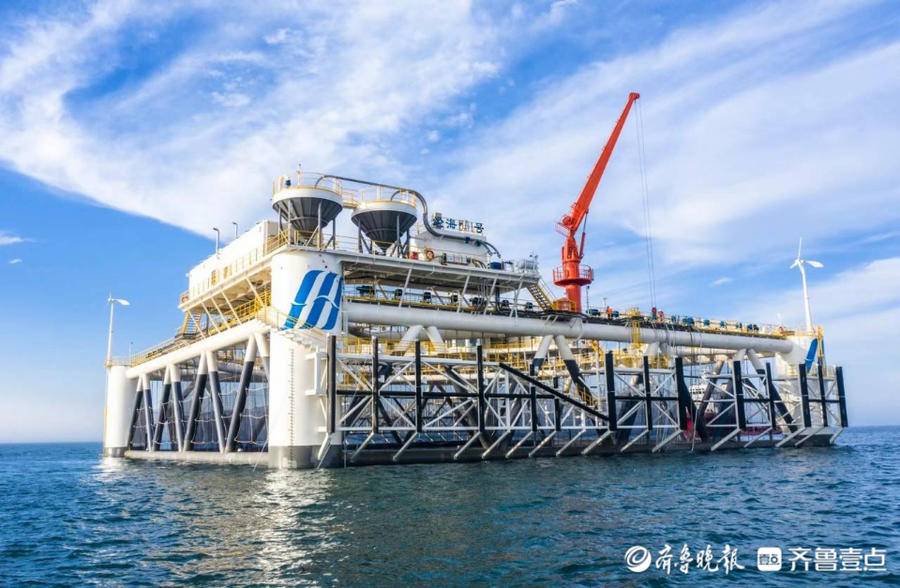 亞洲最大深海智能網箱提網收魚近4萬斤成品黑鲪魚將銷往全國