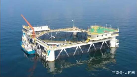 山東：筑夢深藍，奏響“人海和諧美麗海洋”新樂章