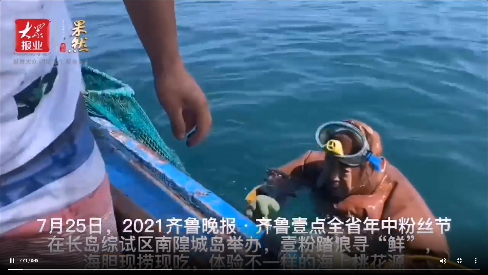 果然視頻|海膽現撈現吃！壹粉踏浪尋“鮮”，直呼太美味