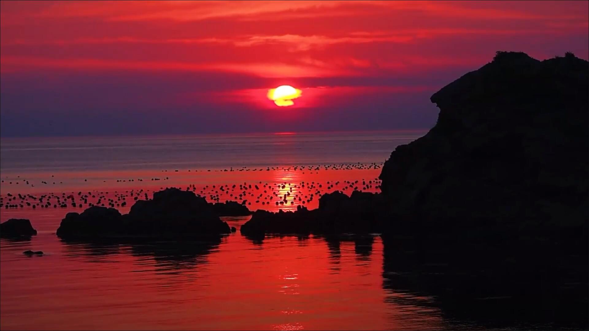 果然視頻｜渤海深處，壹點粉絲團在南隍城島偶遇最美落日