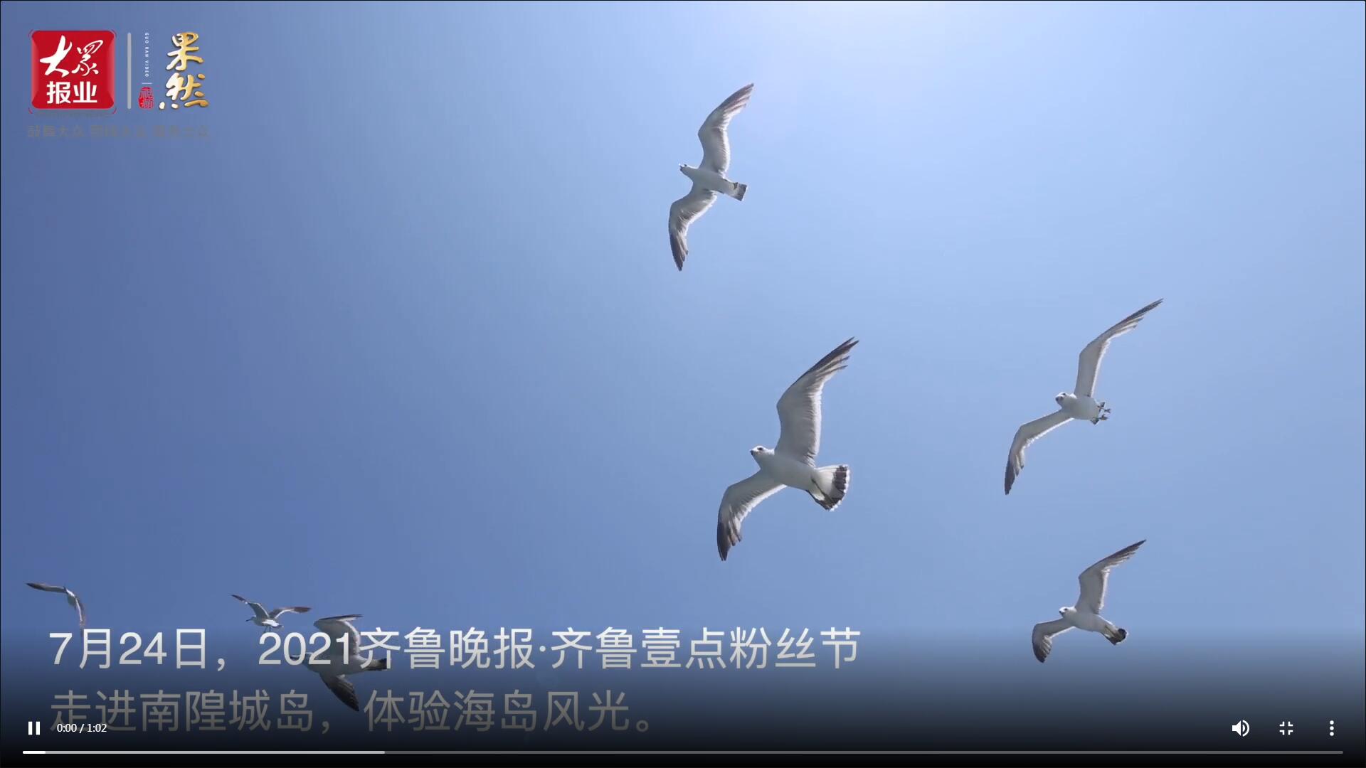 果然視頻|百名壹粉登上南隍城島，開啟海島之旅