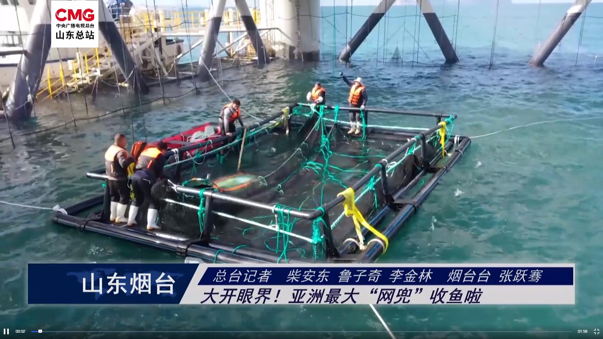 山東煙臺：大開眼界！亞洲最大“網兜”收魚啦