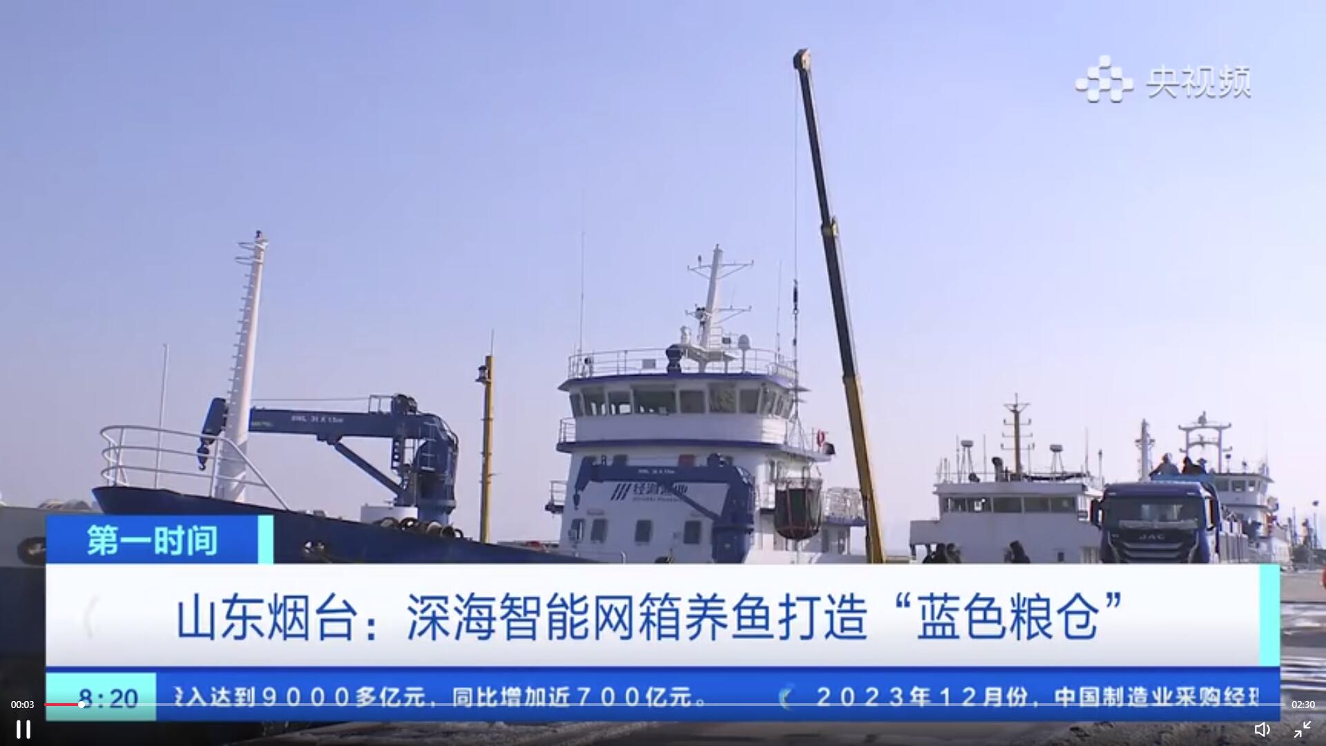 山東煙臺：深海智能網箱養魚打造“藍色糧倉”