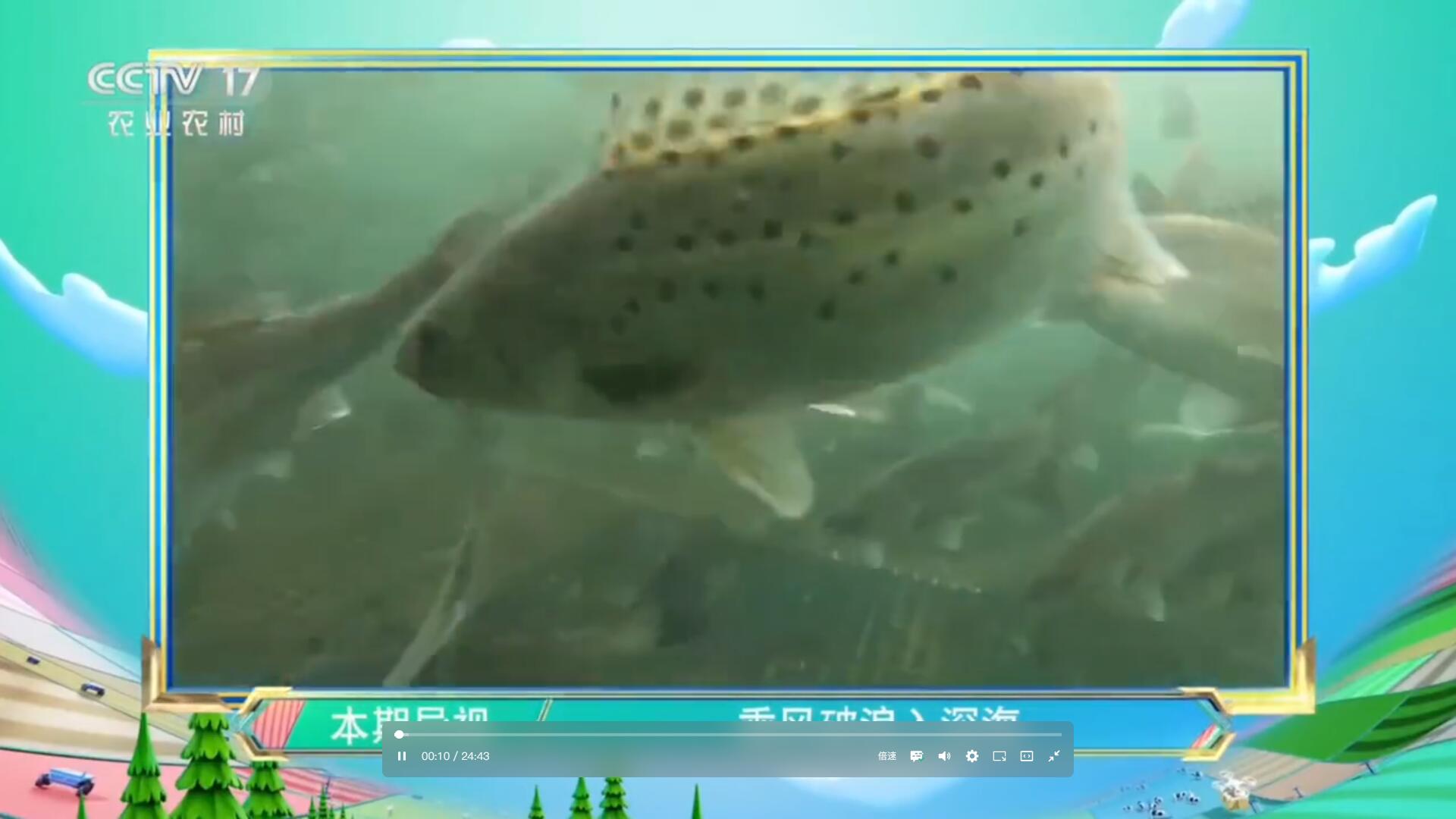 乘風破浪入深海｜經海漁業亮相CCTV-17《超級農人秀》