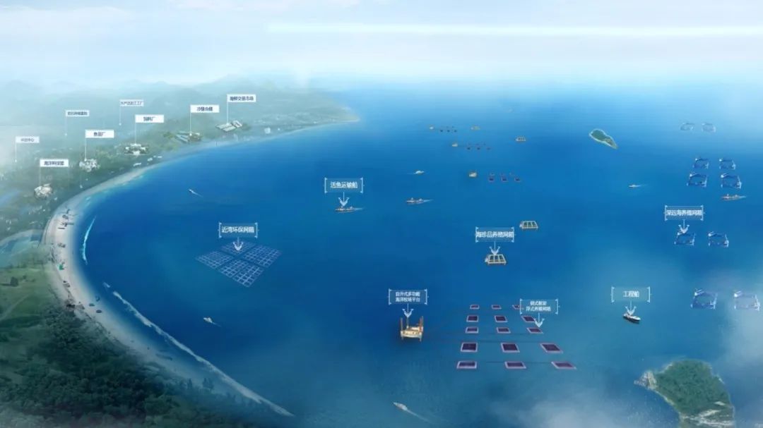 經(jīng)海“百箱計劃”再前行，走進(jìn)大欽島暨第二屆黑鲪魚魚苗訂購簽約儀式