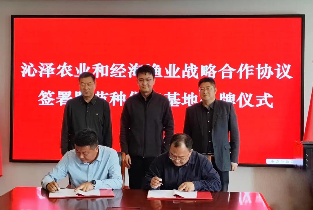 攜手共繪鮭鱒養(yǎng)殖新藍(lán)圖——煙臺(tái)經(jīng)海漁業(yè)與山西沁澤農(nóng)業(yè)戰(zhàn)略合作協(xié)議簽署及苗種供應(yīng)基地揭牌儀式圓滿舉行