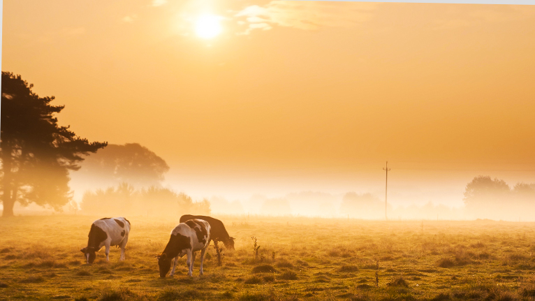 1606368648945582cv41.jpg 1606368648945582cv41.jpg