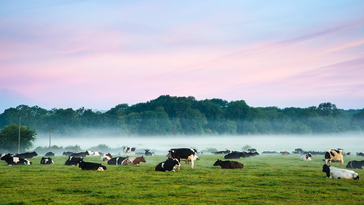 1606368981503098QXM7.jpg 1606368981503098QXM7.jpg