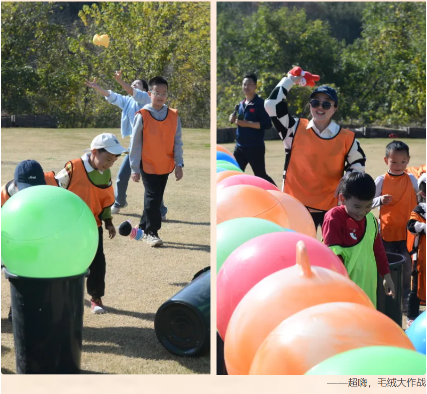 1764643135977427Zw8A.png 1764643135977427Zw8A.png